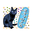 ねねこ♥⑱ みにくん＆ちびちゃん編（個別スタンプ：9）