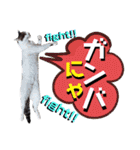 ねねこ♥⑱ みにくん＆ちびちゃん編（個別スタンプ：10）
