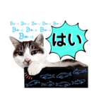 ねねこ♥⑱ みにくん＆ちびちゃん編（個別スタンプ：12）