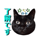 ねねこ♥⑱ みにくん＆ちびちゃん編（個別スタンプ：13）
