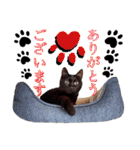 ねねこ♥⑱ みにくん＆ちびちゃん編（個別スタンプ：15）