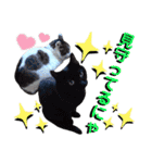 ねねこ♥⑱ みにくん＆ちびちゃん編（個別スタンプ：17）
