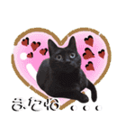 ねねこ♥⑱ みにくん＆ちびちゃん編（個別スタンプ：18）