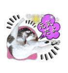 ねねこ♥⑱ みにくん＆ちびちゃん編（個別スタンプ：19）