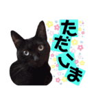 ねねこ♥⑱ みにくん＆ちびちゃん編（個別スタンプ：20）
