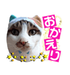 ねねこ♥⑱ みにくん＆ちびちゃん編（個別スタンプ：21）