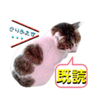 ねねこ♥⑱ みにくん＆ちびちゃん編（個別スタンプ：22）