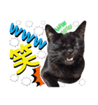 ねねこ♥⑱ みにくん＆ちびちゃん編（個別スタンプ：23）