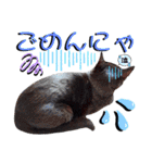 ねねこ♥⑱ みにくん＆ちびちゃん編（個別スタンプ：24）