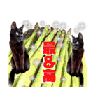 ねねこ♥⑱ みにくん＆ちびちゃん編（個別スタンプ：30）