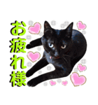 ねねこ♥⑱ みにくん＆ちびちゃん編（個別スタンプ：32）