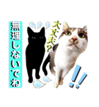 ねねこ♥⑱ みにくん＆ちびちゃん編（個別スタンプ：33）