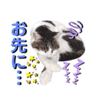 ねねこ♥⑱ みにくん＆ちびちゃん編（個別スタンプ：35）