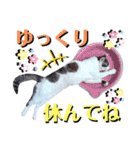 ねねこ♥⑱ みにくん＆ちびちゃん編（個別スタンプ：36）