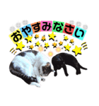 ねねこ♥⑱ みにくん＆ちびちゃん編（個別スタンプ：38）