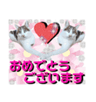 ねねこ♥⑱ みにくん＆ちびちゃん編（個別スタンプ：39）
