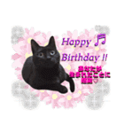 ねねこ♥⑱ みにくん＆ちびちゃん編（個別スタンプ：40）