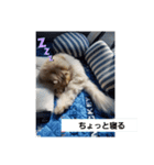 ひゅうがの日常（個別スタンプ：3）
