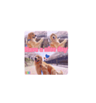 びすけ物語（びすけ、みるふ）／megu15（個別スタンプ：5）