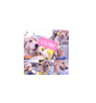 びすけ物語（びすけ、みるふ）／megu15（個別スタンプ：7）