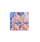 びすけ物語（びすけ、みるふ）／megu15（個別スタンプ：8）