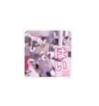 びすけ物語（びすけ、みるふ）／megu15（個別スタンプ：12）