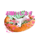 日本スピッツ★自来也（個別スタンプ：9）