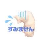 日本スピッツ★自来也（個別スタンプ：19）