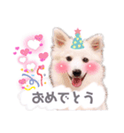 日本スピッツ★自来也（個別スタンプ：40）