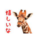 動く！キリンと動物園の仲間たち（個別スタンプ：1）