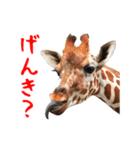 動く！キリンと動物園の仲間たち（個別スタンプ：3）