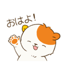 こぐまお（個別スタンプ：1）