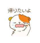 こぐまお（個別スタンプ：8）
