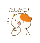 こぐまお（個別スタンプ：14）