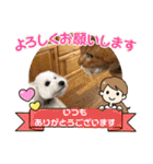 animal日常会話（個別スタンプ：19）