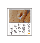 玉子焼シリーズ（個別スタンプ：8）