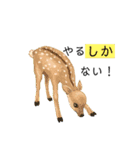 こどもと生き物（個別スタンプ：14）