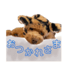クララちゃんのスタンプ集（個別スタンプ：6）
