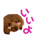 クララちゃんのスタンプ集（個別スタンプ：10）