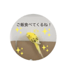 セキセイインコのスタンプ その20（個別スタンプ：5）