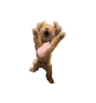 人面犬リズ♡2弾（個別スタンプ：2）