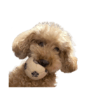 人面犬リズ♡2弾（個別スタンプ：7）