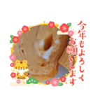 玉子焼シリーズ2（個別スタンプ：8）
