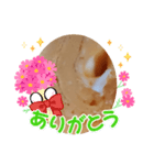 玉子焼シリーズ・1（個別スタンプ：2）