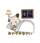 キンクマハムスターのぽんず日常スタンプ（個別スタンプ：19）