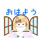 綺麗な猫らいらい2【梅雨編】（個別スタンプ：1）