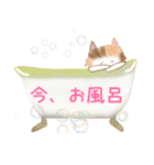 綺麗な猫らいらい2【梅雨編】（個別スタンプ：29）