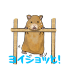 キンクマハムスターの愉快な一日（個別スタンプ：28）