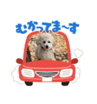 モナカスタンプ♡♡（個別スタンプ：1）
