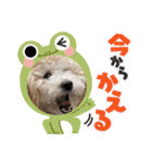 モナカスタンプ♡♡（個別スタンプ：3）